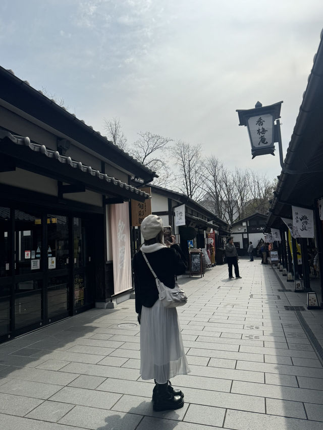 Kumamoto castle in japan 🇯🇵