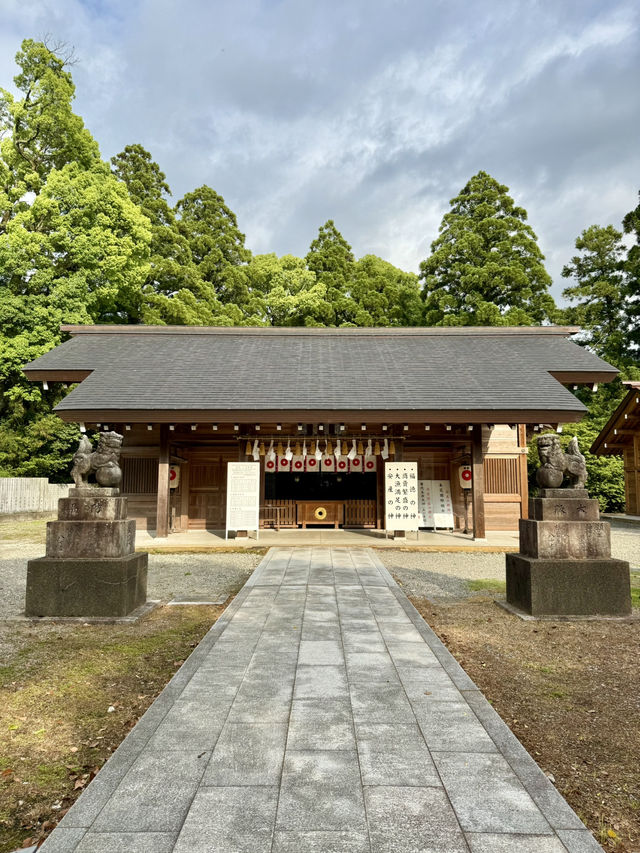Exploring Ōzu – A Castle View & a Shrine Escape