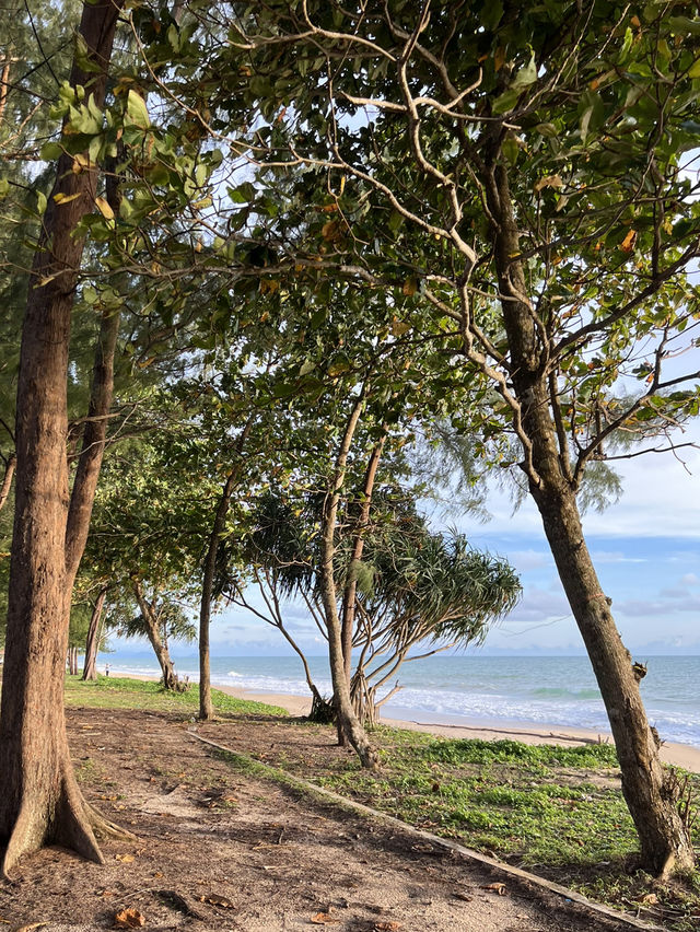 [พังงา] 🏝️ Thai Mueang Beach —หาดท้ายเหมือง