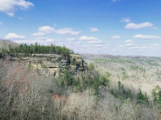 Kentucky’s Wild Wonderland: Red River Gorge Trails