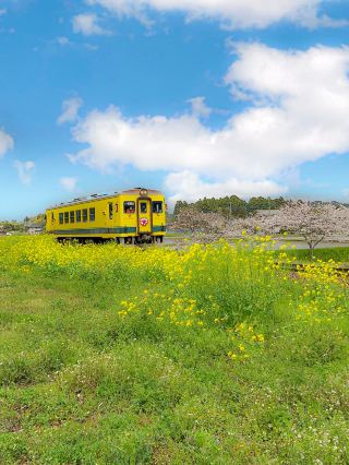 [Chiba🇯🇵] A weekend drive to experience the great outdoors🤍
