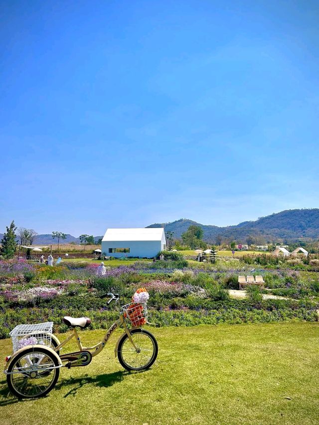 Bloom Overload at Khao Yai