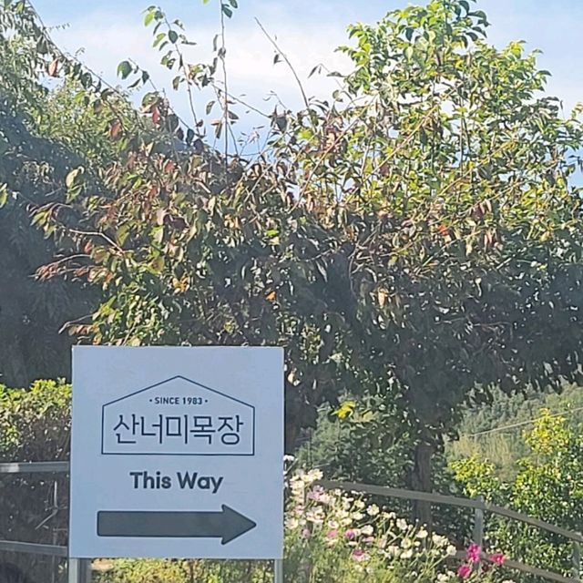 평창트레킹🧡산너미목장트레킹