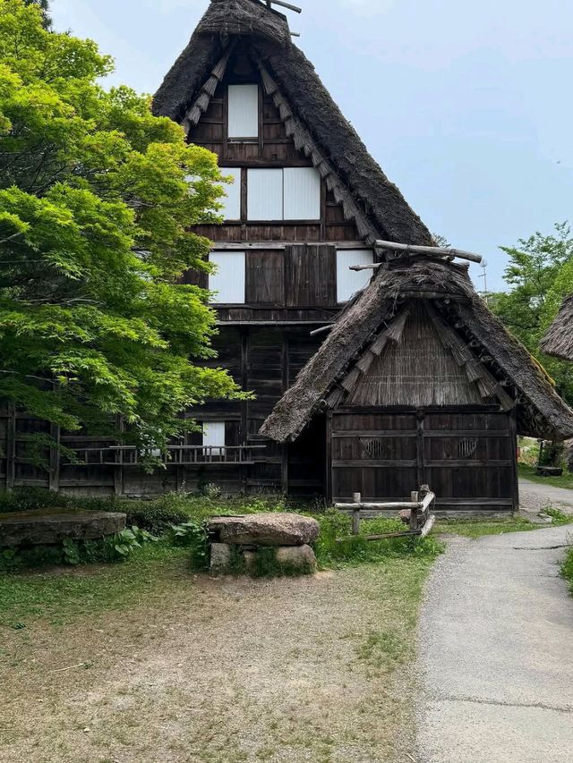 Old Japan, Fresh Vibes