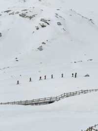 ต๋ากู่กลาเซียร์ Dagu glacier