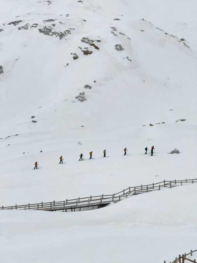 ต๋ากู่กลาเซียร์ Dagu glacier