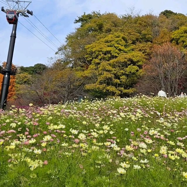 Fresh Air & Flower Power