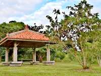 和平創造之森公園
