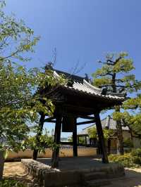 岡山｜寂靜無人的寶壽山觀龍寺 見證東密與神道分合的寺院