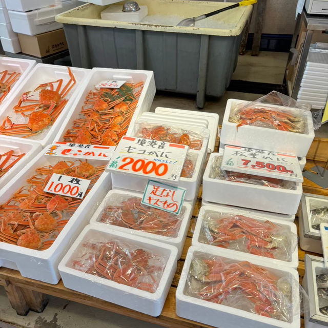 🇯🇵【鳥取県】大漁市場なかうら！新鮮な海鮮をGET!^ ^