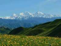 Where Cultures Meet: Discover Yili