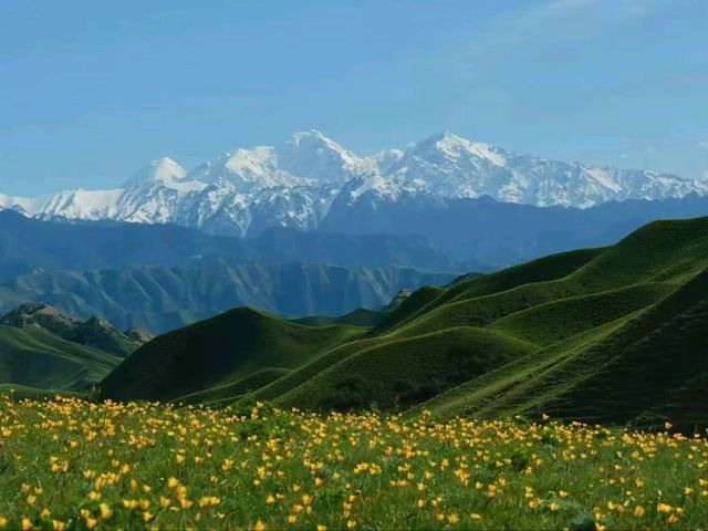 Where Cultures Meet: Discover Yili