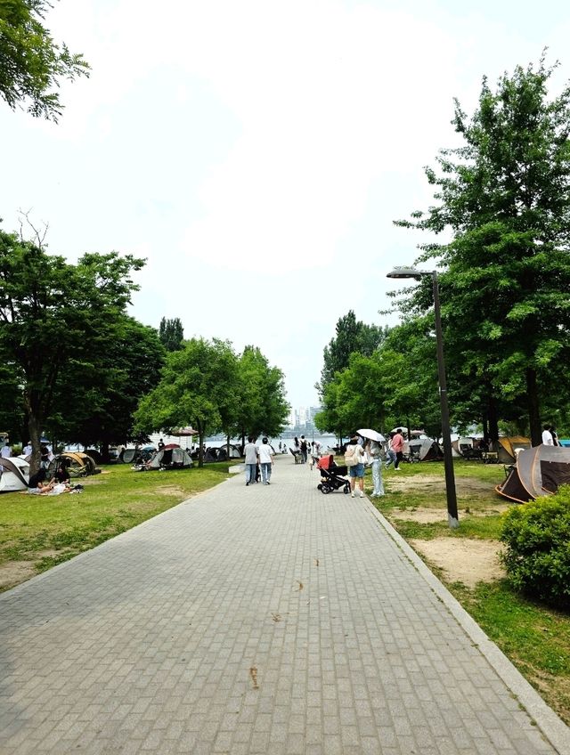 도심 속에서 만나는 여유, 여의도 한강공원