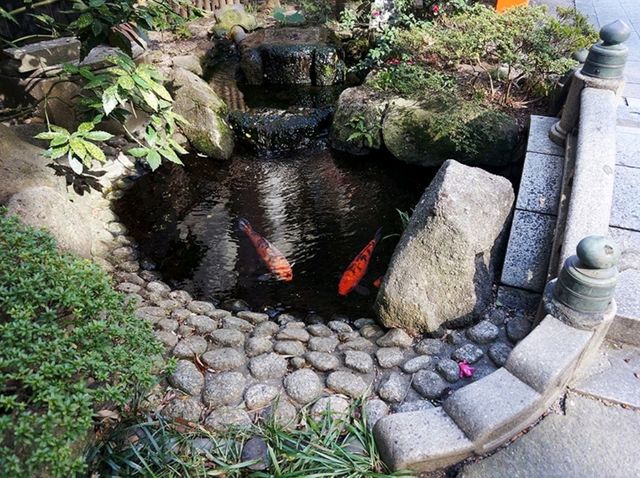 [🇯🇵福岡] 天神の静かな癒しスポット「水鏡天満宮」へ