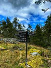 #AncientWhispers – A Moment in Tyresta National Park