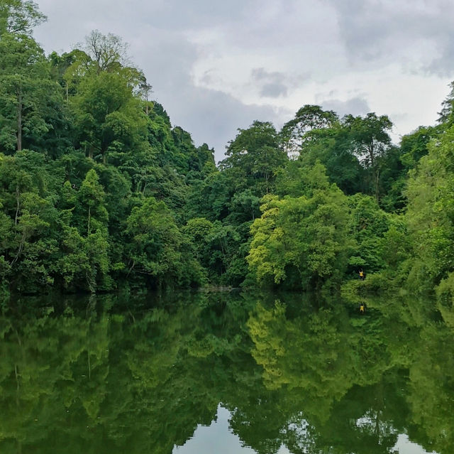 🥾 Bukit Kembara, Ampang – Hidden Hiking Gem in KL!