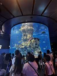 10 most visiting places in Singapore 🇸🇬 