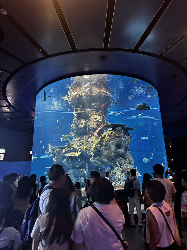 10 most visiting places in Singapore 🇸🇬 