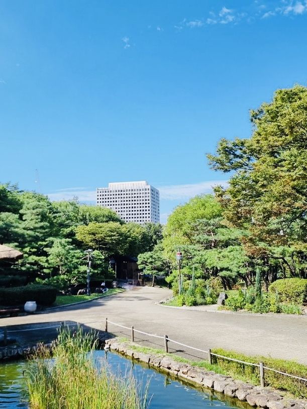Namsangol Park: An Urban Oasis Beyond the Hanoks