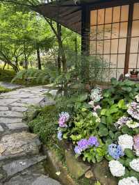 Where to Stay for Peace and Quiet Near Qingcheng Mountain