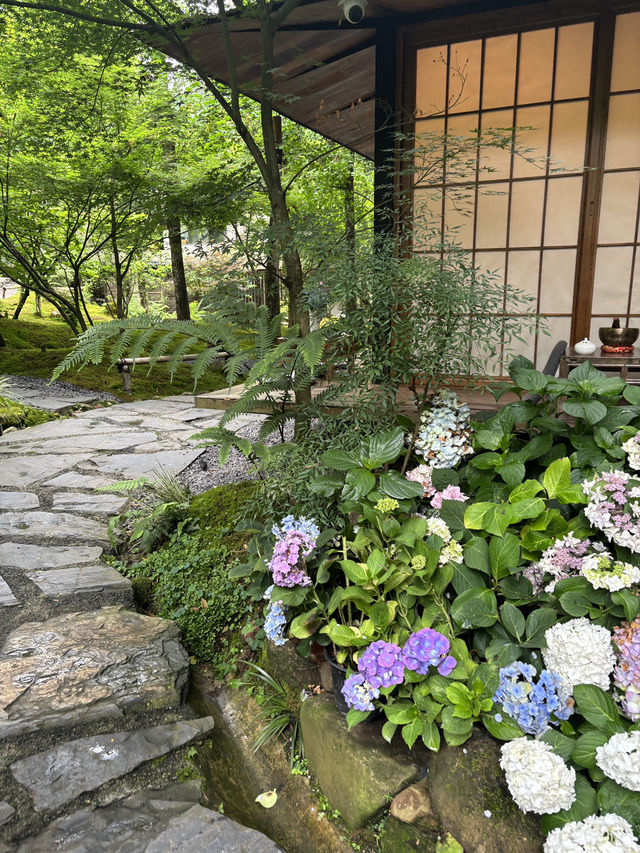 Where to Stay for Peace and Quiet Near Qingcheng Mountain