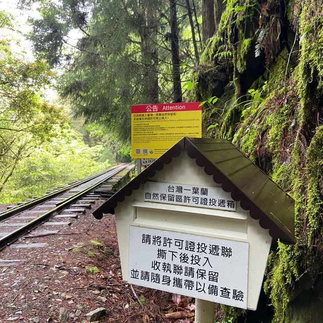 🚶‍♂️阿里山眠月線健行｜沼平車站 ⇄ 石猴車站