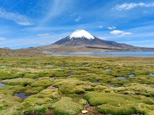 Lauca National Park – Wild Beauty at the Top of the World