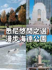 【悉尼】海德公園🍁悠閒綠洲與美麗秋景的完美結合😎🌳