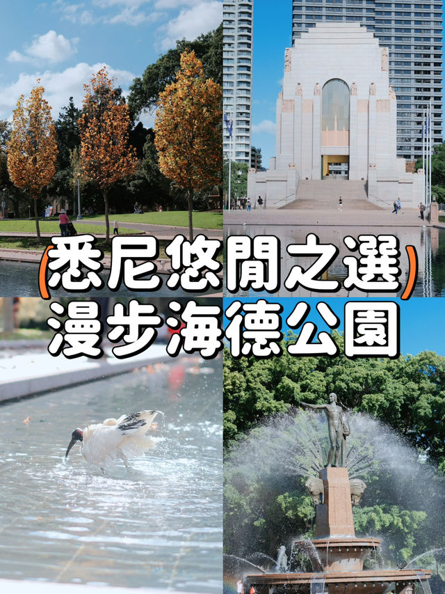 【悉尼】海德公園🍁悠閒綠洲與美麗秋景的完美結合😎🌳