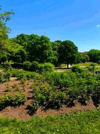 Westpark – Munich’s Cultural Garden Escape