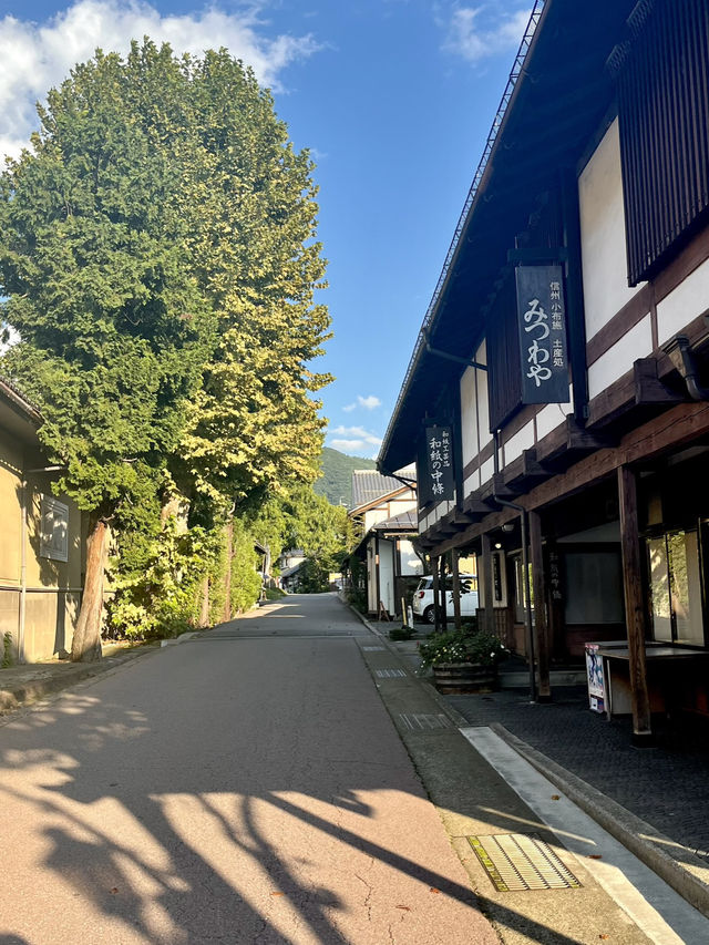 🌰🎨【長野・小布施町】  栗とアートと、静かな時間が流れる町。