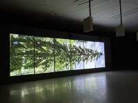 韓国で美術館巡りしたい方！国立現代美術館(クァジョン)