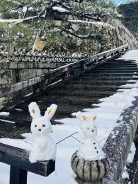 ❄️冬こそ行きたい！静かで美しい⛄️京都おすすめスポット3選