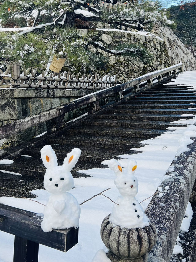 ❄️冬こそ行きたい！静かで美しい⛄️京都おすすめスポット3選