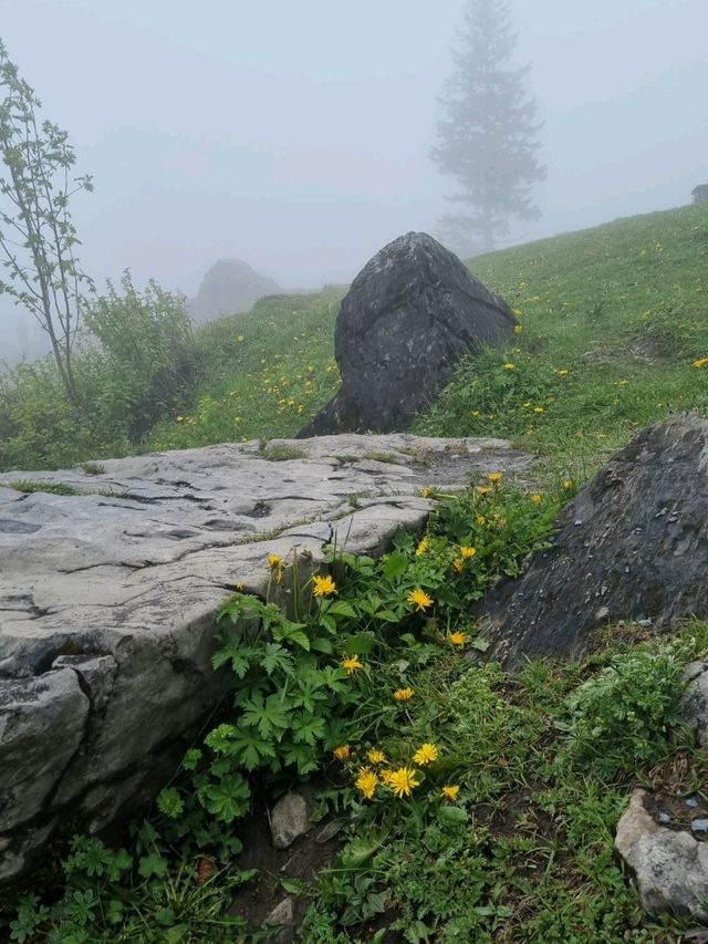 산꼭대기 안개속의 외시넨 호수