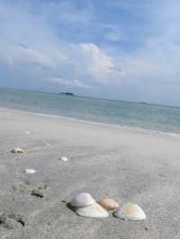 The Beach
