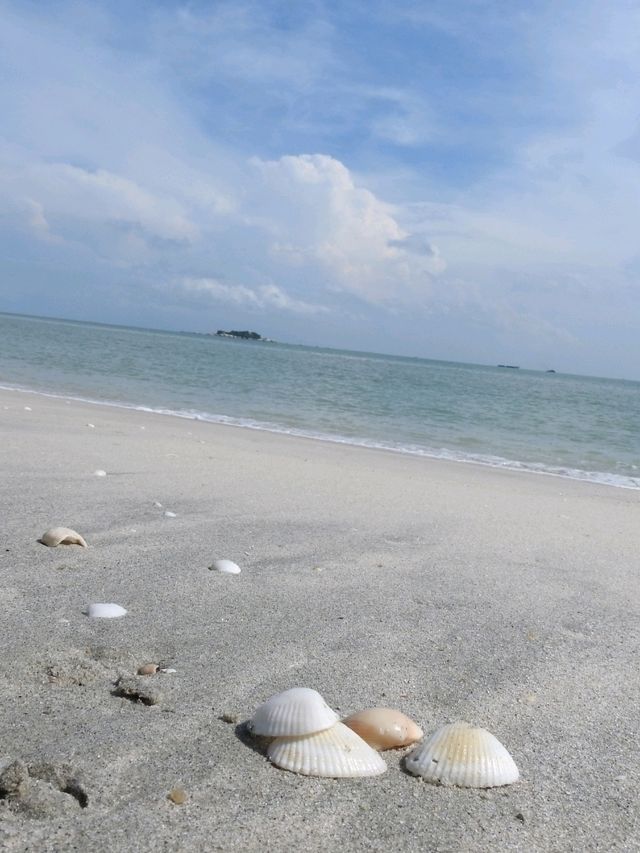 The Beach