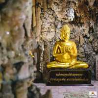วัดพายัพ