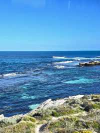 Rottnest Island - Perth Australia