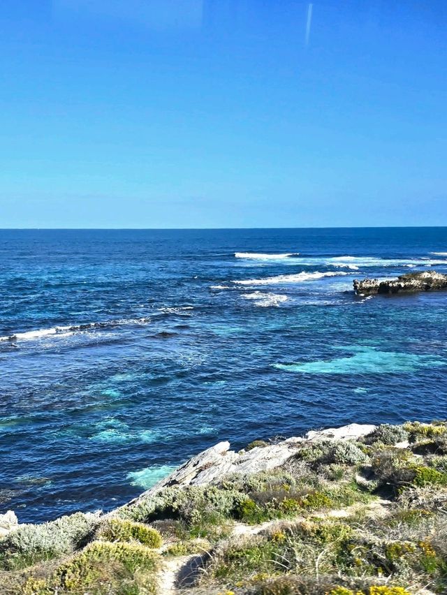 Rottnest Island - Perth Australia
