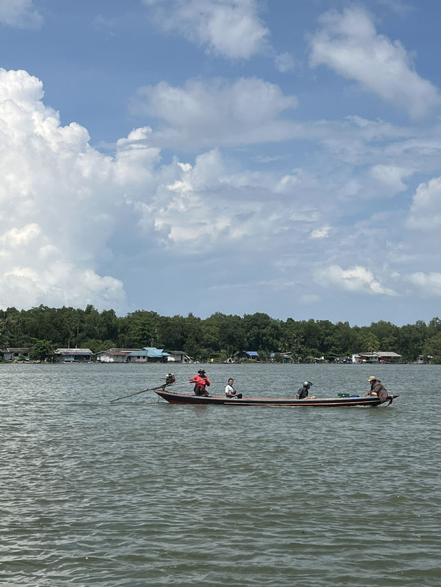 Exploring the Tapi River, Surat Thani