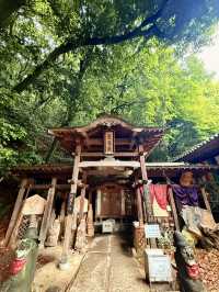 松山｜穿越洞穴抵達千與千尋的異世界？神秘的「風土記之丘」