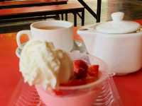 2D1N Cameron Highlands