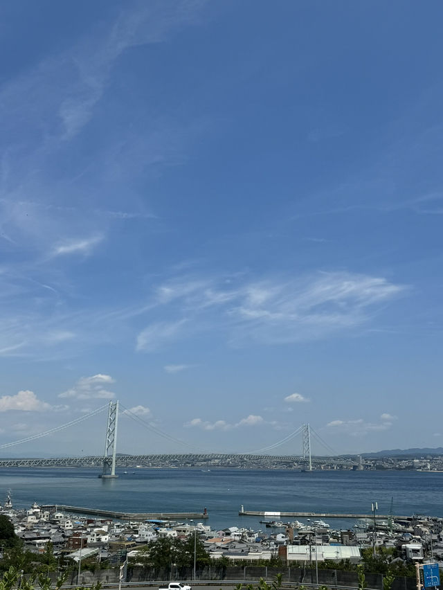 【徳島🇯🇵】400年以上の歴史を待つ「阿波踊り」に会いに。