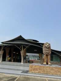泰國大城包車一日遊 Sriayuthaya Lion Park  動物互動 