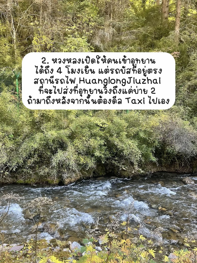 ✅ 5 ข้อที่รู้หลังมาเที่ยวหวงหลง 🏔️✨