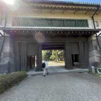 【広島/宮島🇯🇵】神秘的な風景に心揺れる⛩ 嚴島神社