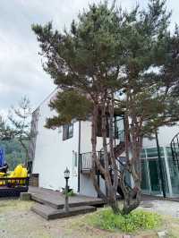 경치 좋은 곳에서 숙박을 경험해 보세요