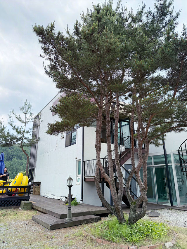 경치 좋은 곳에서 숙박을 경험해 보세요