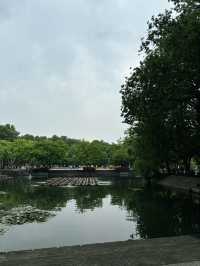 เดินเล่นรอบทะเลสาป xihu